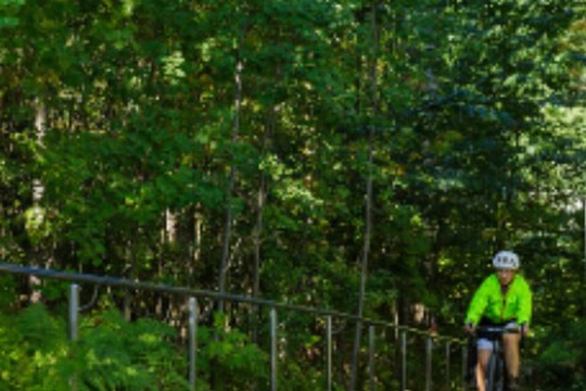 Are you interested in global sustainability? Join the Una Europa Virtual Exchanges for Sustainability (UnaVEx)