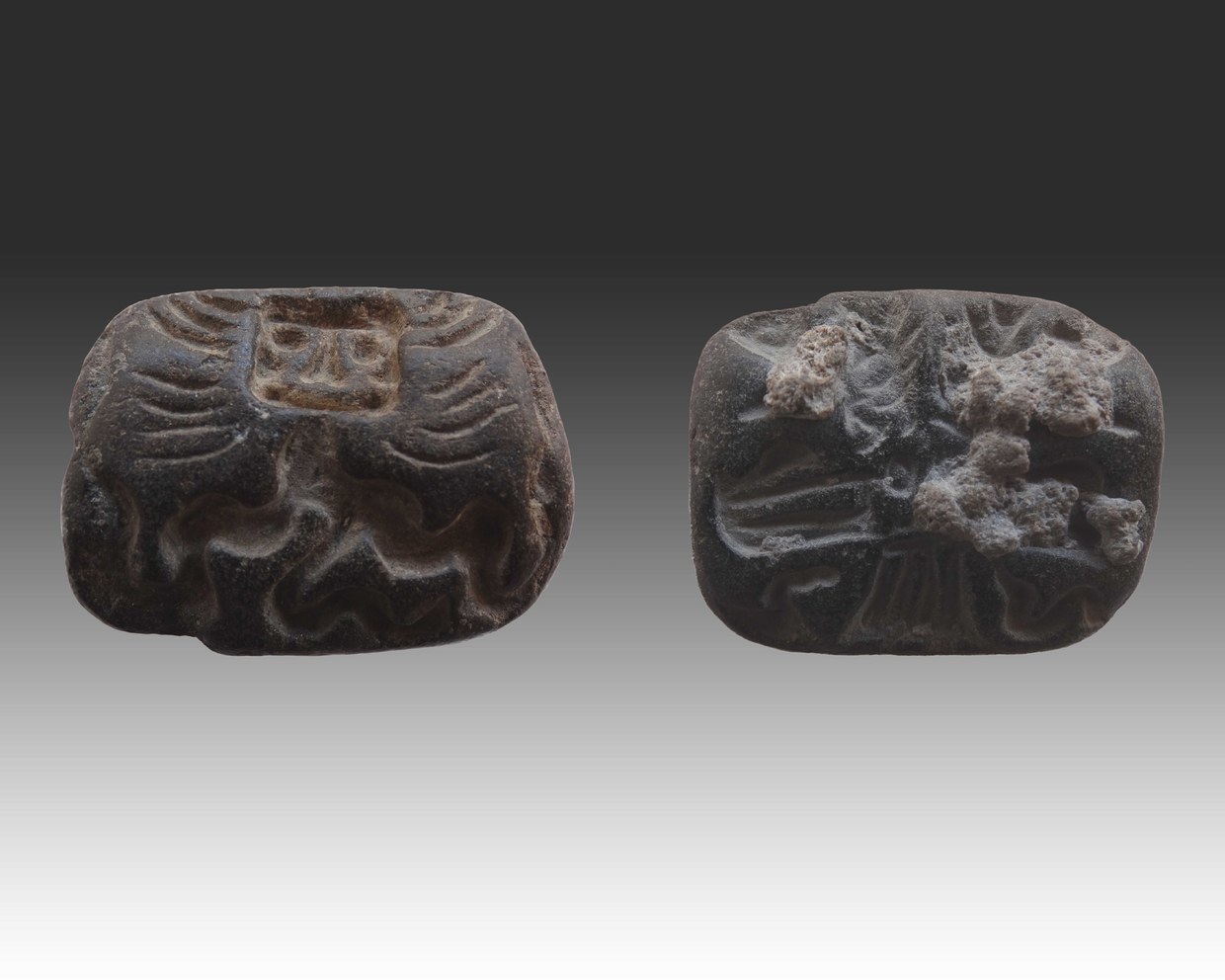 Photo of an Amulet-seal in black chlorite depicting, on one side, a typical character of the Bactrian-Margian glyptic with a serpentine body and, on the other side, a bird of prey with female attributes