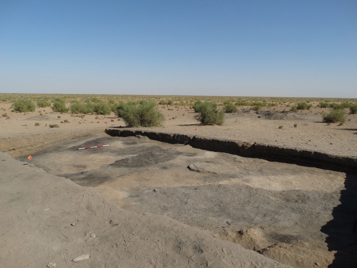 Photo of of the excavation area in which a seasonal structure used by agro-pastorialists was identified