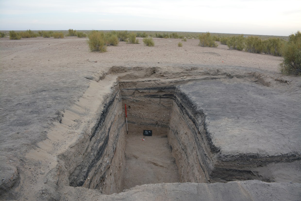 Photo of the excavation area at the end of the 2018 Mission