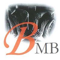Logo della banca dati Brepolis Medieval and Early Modern Bibliographies