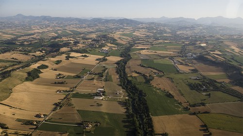 Il Piceno e l’Agro Gallico agli albori della conquista romana. Topografia e cultura materiale - Banner