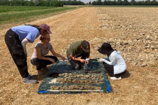 Avviso campagna di scavo presso S. Romualdo e S. Alberto (Ravenna) - Progetto RecLands, Anno 2025