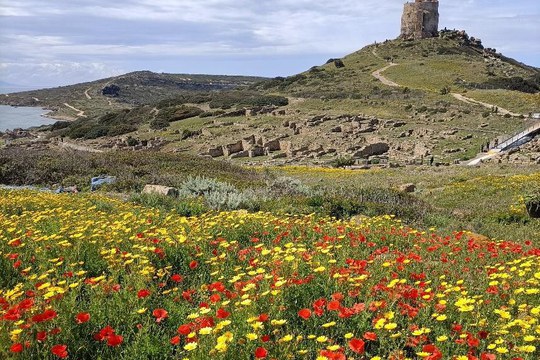 Avviso di selezione per la campagna di scavo presso Capo San Marco (penisola del Sinis)