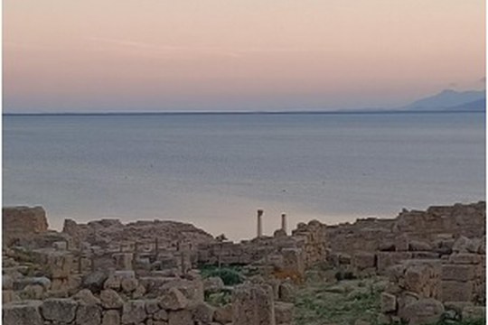 Avviso di selezione per la campagna di scavo presso Capo San Marco (penisola del Sinis) Avviso di selezione per la campagna di scavo presso Capo San Marco (penisola del Sinis)
