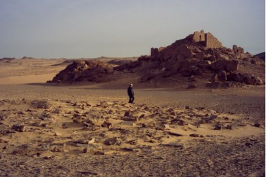 Avviso di selezione per la campagna di scavo presso "The Aswan Kom-Ombo archaeological project" Avviso di selezione per la campagna di scavo presso "The Aswan Kom-Ombo archaeological project"