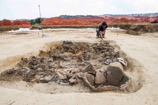 Avviso di selezione per la campagna didattica archeologica a Corinaldo (AN) - Progetto ArcheoNevola