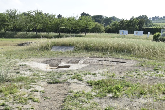 Avviso di selezione per la campagna didattica archeologica a Sirolo (AN) località “I Pini” Avviso di selezione per la campagna didattica archeologica a Sirolo (AN) località “I Pini”