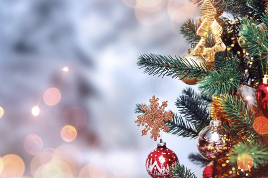 Il calendario del DiSCi durante le festività