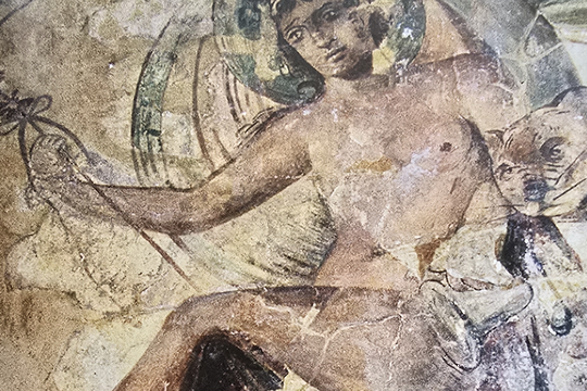 I colori perduti della Tunisia romana