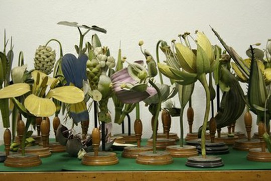I modelli Brendel dell’Orto Botanico approdano al FrameLAB di Ravenna