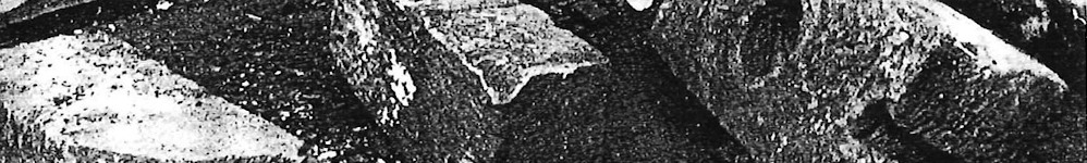 Particolare della fotografia dei blocchi di pietra recuperati nel 1947
